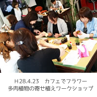 カフェでフラワー、多肉植物の寄せ植え